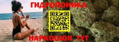 шишки Татарск