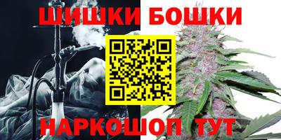 шишки Татарск